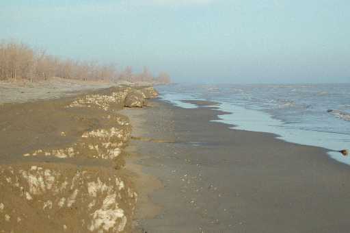 Late Winter on Long Point